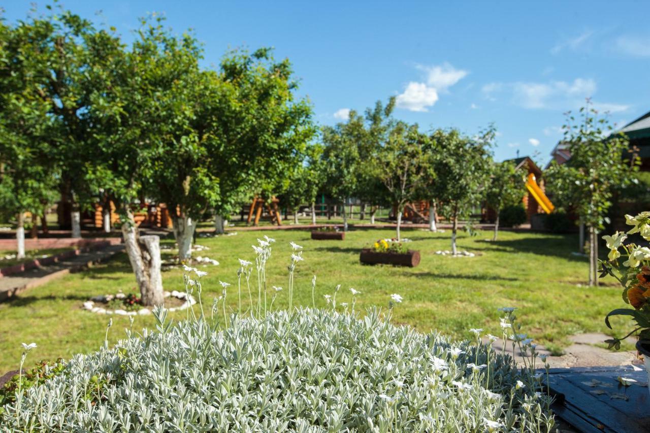 Magic Garden By Vladut Otel Bacău Dış mekan fotoğraf