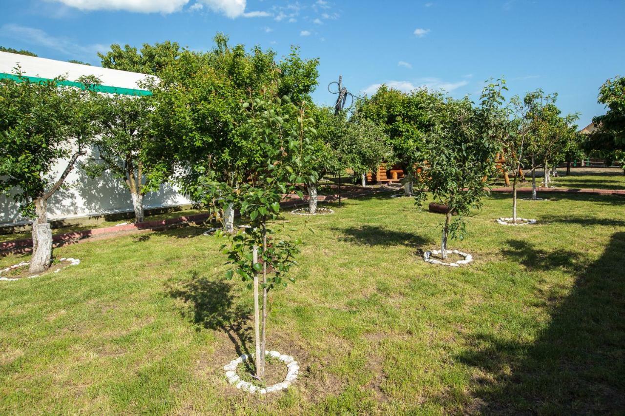 Magic Garden By Vladut Otel Bacău Dış mekan fotoğraf