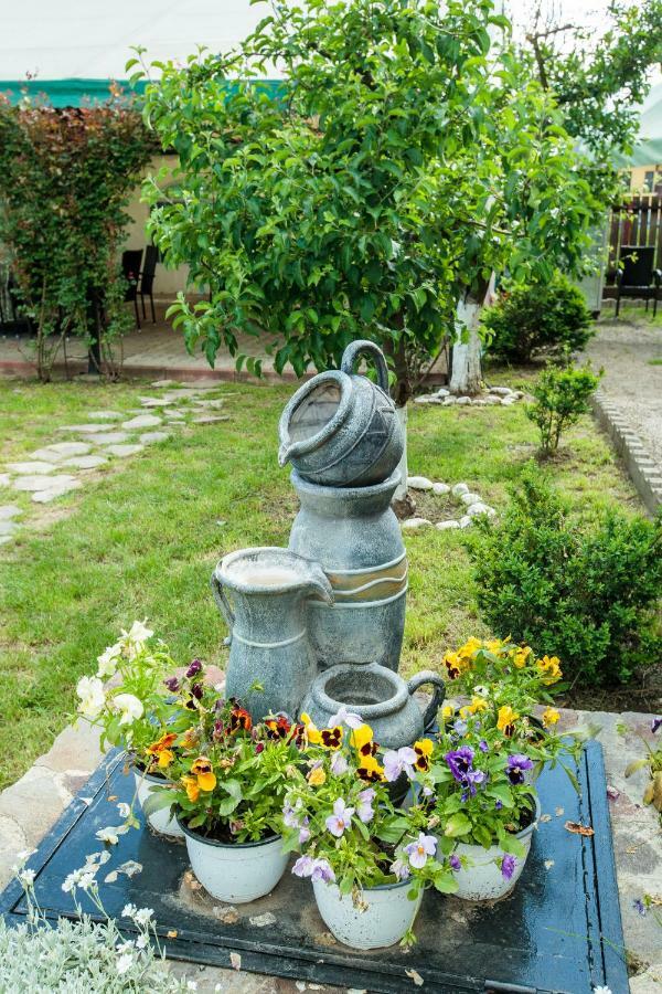Magic Garden By Vladut Otel Bacău Dış mekan fotoğraf