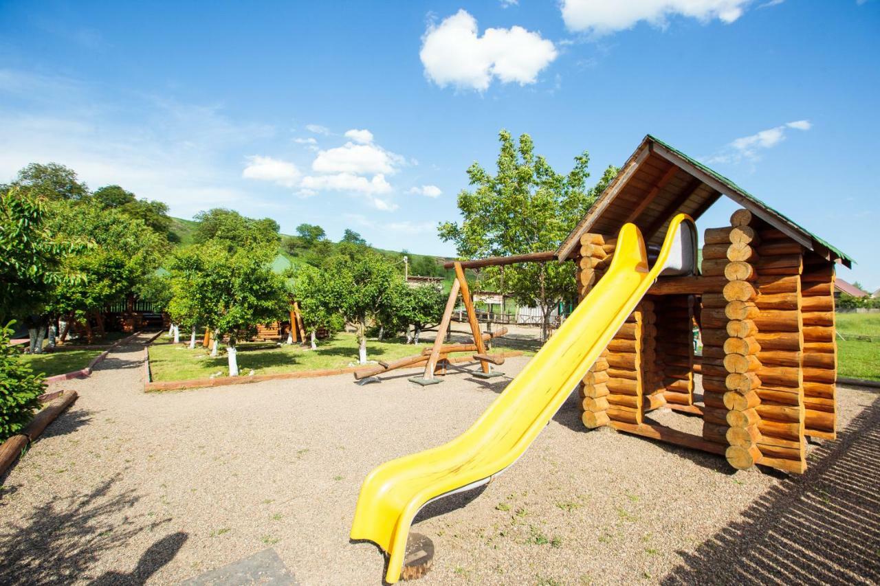 Magic Garden By Vladut Otel Bacău Dış mekan fotoğraf