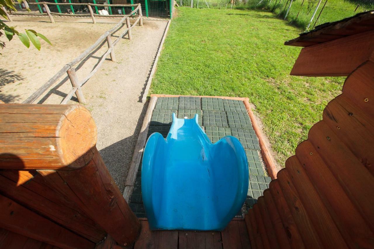 Magic Garden By Vladut Otel Bacău Dış mekan fotoğraf